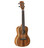 Alvarez Artist AU90C Concert Ukulele in Natural - Image 4