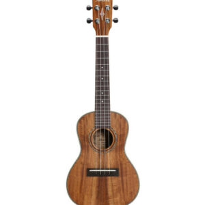 Alvarez Artist AU90C Concert Ukulele in Natural - Image 6