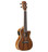 Alvarez Artist AU90CCE Electro Acoustic Concert Ukulele in Natural - Image 4