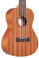 Cordoba Concert Ukulele Pack - Image 4