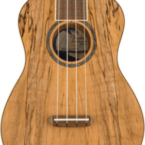 Fender Zuma Exotic Concert Ukulele in Spalted Maple