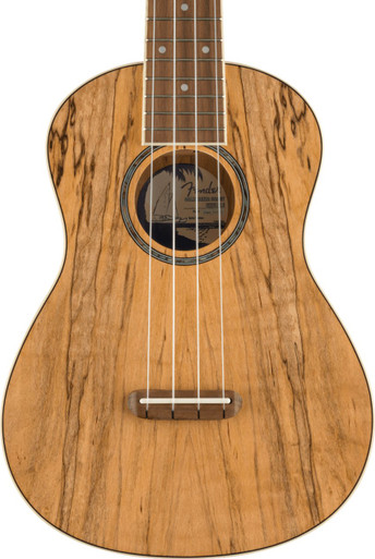 Fender Zuma Exotic Concert Ukulele in Spalted Maple
