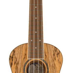 Fender Zuma Exotic Concert Ukulele in Spalted Maple - Image 5