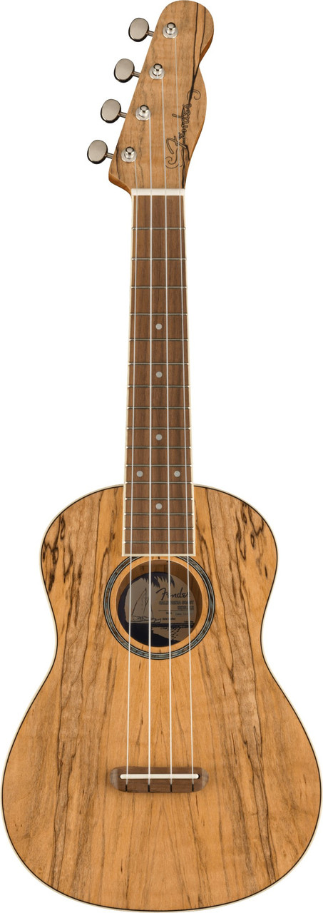 Fender Zuma Exotic Concert Ukulele in Spalted Maple