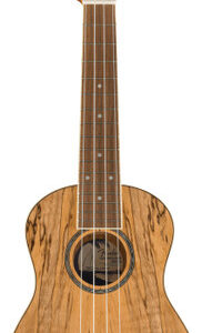 Fender Zuma Exotic Concert Ukulele in Spalted Maple - Image 2