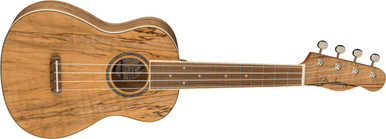 Fender Zuma Exotic Concert Ukulele in Spalted Maple