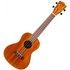 Flight NUC250 Concert Ukulele Acacia - Image 3