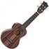 Snail UKS-E220EQ Soprano Ebony Electro Acoustic Ukulele - Nearly New - Image 3