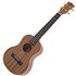 Snail UKT-528E Zebrawood Series Tenor Ukulele - Image 3