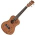 Snail UKC-486 Walnut Series Concert Ukulele - Image 3