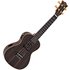 Snail UKC-E483EQ Concert Ebony Electro Acoustic Ukulele - Image 3