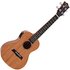 Snail SUC-M2 Electro Acoustic Concert Ukulele Gloss - Image 3