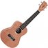 Tanglewood TWT 6 Tiare Concert Size Ukulele - Image 3