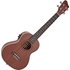 Sapele Tenor Electro-Ukulele by Gear4music - Image 3