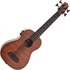 Kala Fretted U-Bass Electro-Acoustic Ukulele Exotic Mahogany - Image 3