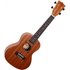 Flight NUC310 Concert Ukulele Sapele - Image 3