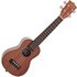 Kala KA-SLNG Mahogany Soprano Long Neck Ukulele Gloss - Image 3