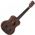 Tanglewood TWT 19 Tiare Tenor Ukulele - Image 3