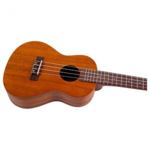 Flight NUC250 Concert Ukulele Acacia - Image 5
