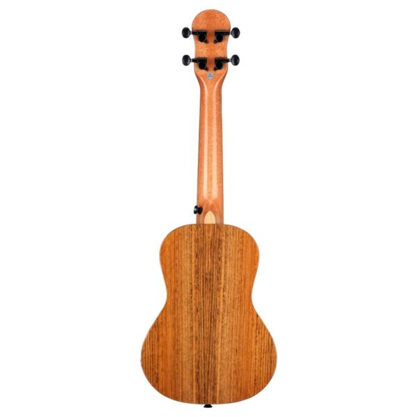 Ferndale UC-E-W Ukulele Concert Electro Walnut