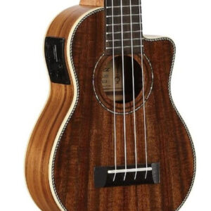 Alvarez Artist Series AU90SCE Soprano Electro Ukulele