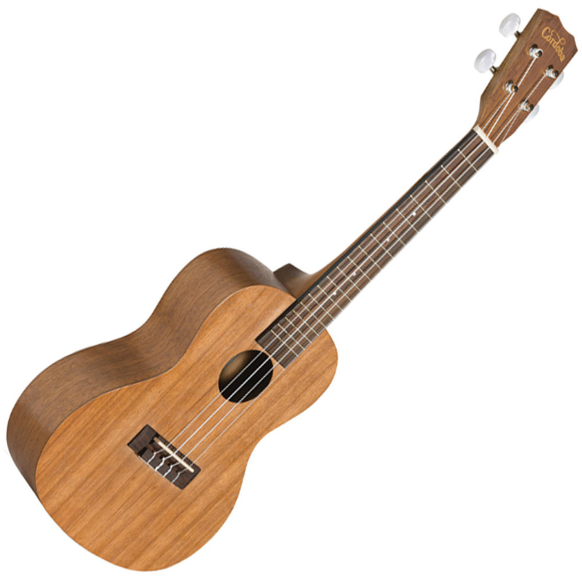 Cordoba UP100 Complete Concert Ukulele Pack