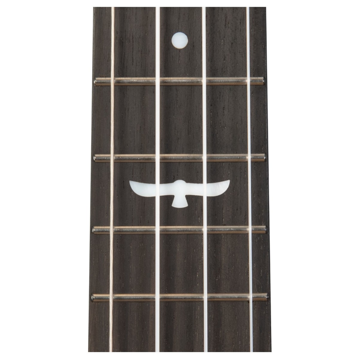 Kala Revelator® Night Owl Tenor Ukulele Acacia