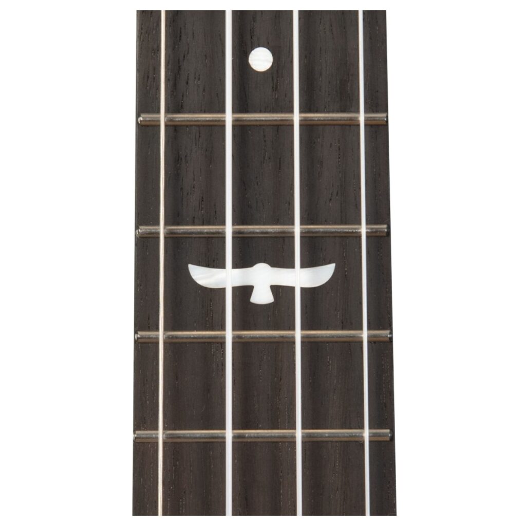 Kala Revelator Night Owl Tenor Ukulele Mango