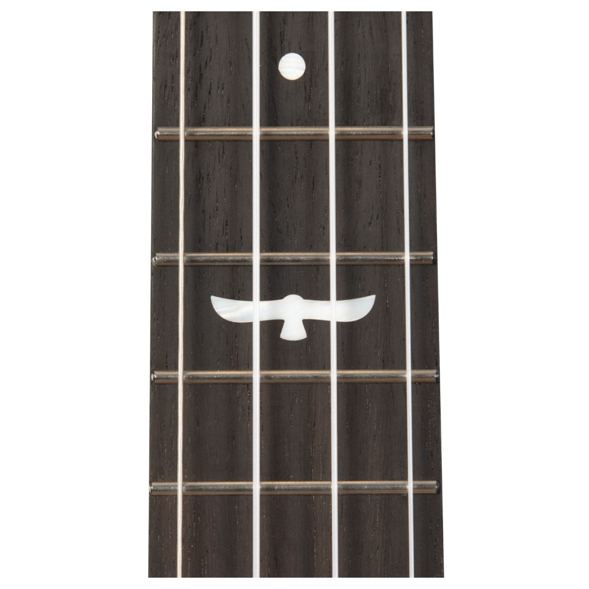 Kala Revelator Night Owl Tenor Ukulele Mango