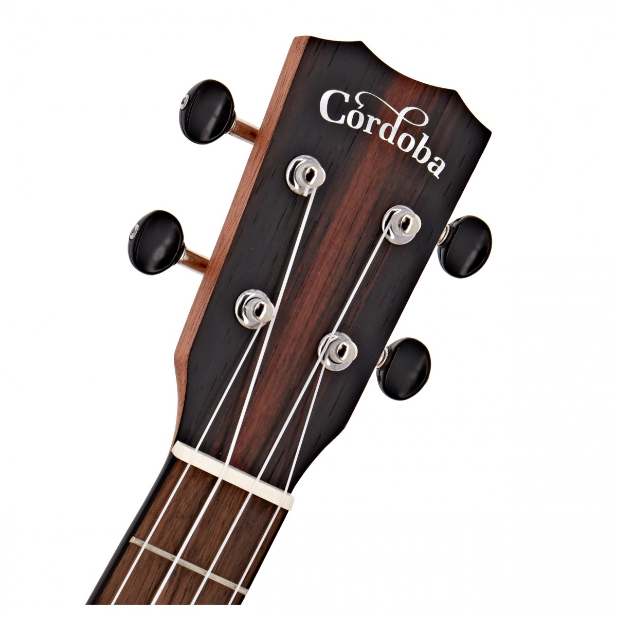 Cordoba 25T Tenor Ukulele Acacia - Image 4