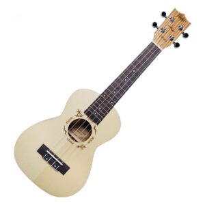 Flight DUC325 Concert Ukulele Zebrawood B&S - Image 1
