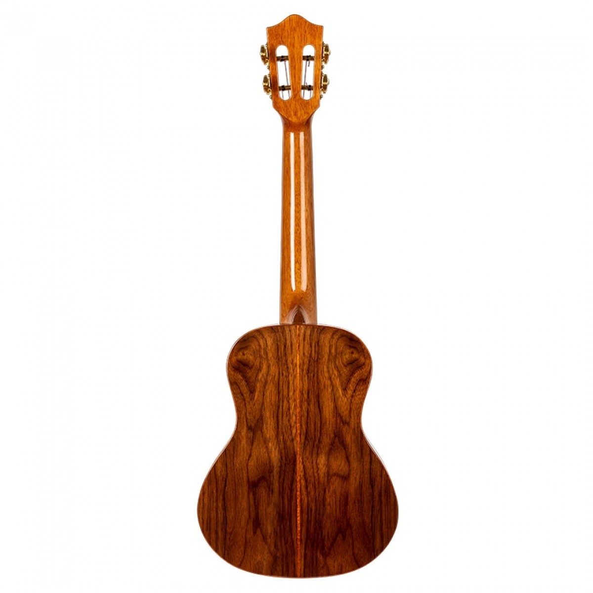 Flight Sophia Concert Electro Ukulele Spruce Top - Image 2