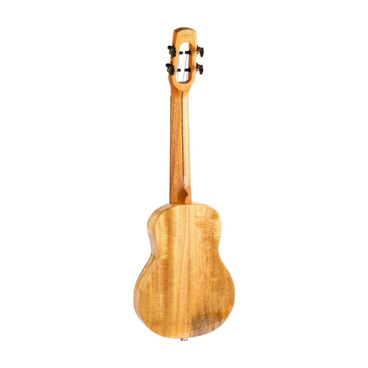 Flight Songbird TPP Concert Electro Ukulele - Image 2