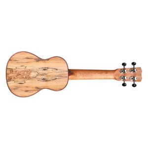 Cordoba 24S Spruce Soprano Ukulele - Image 2