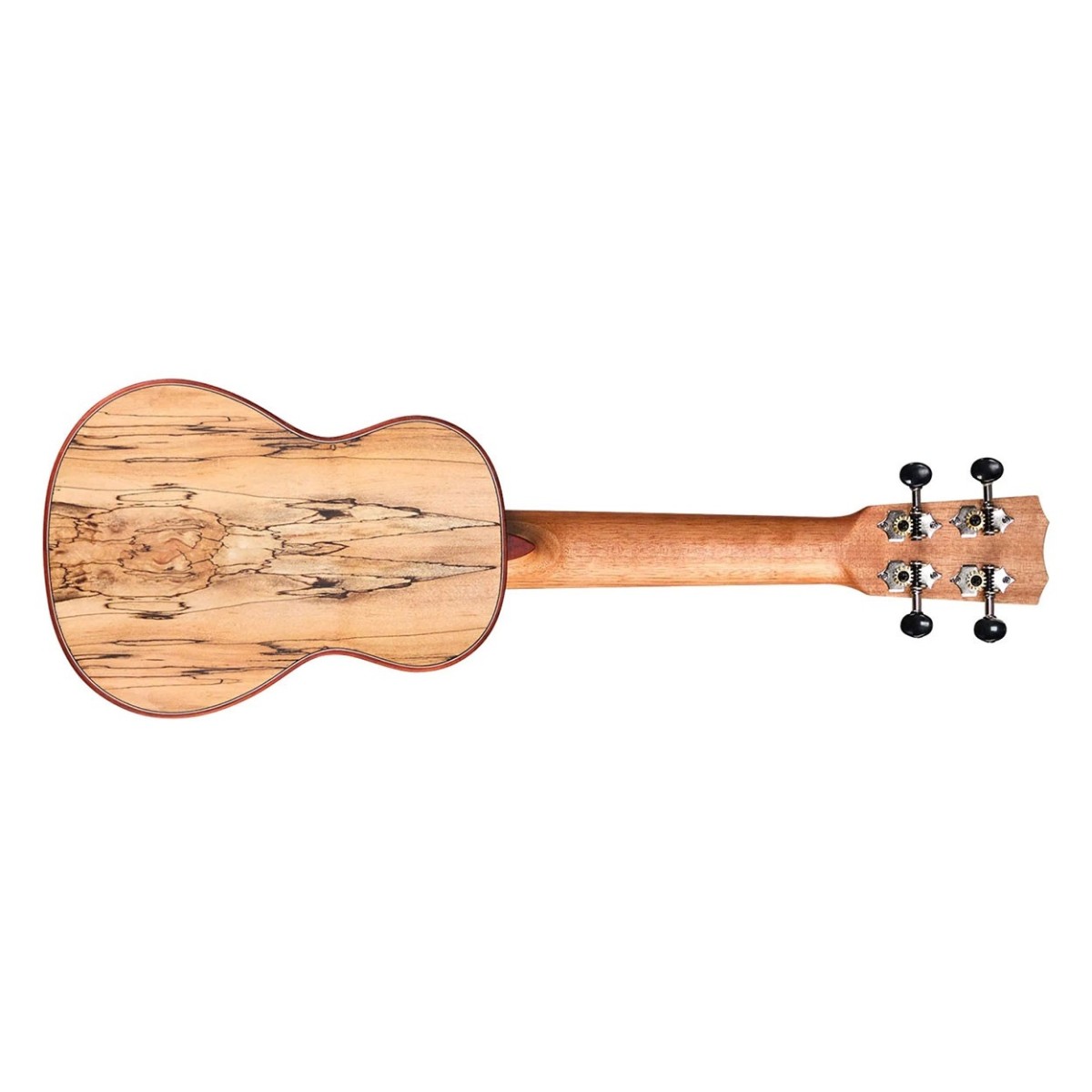 Cordoba 24S Spruce Soprano Ukulele - Image 2