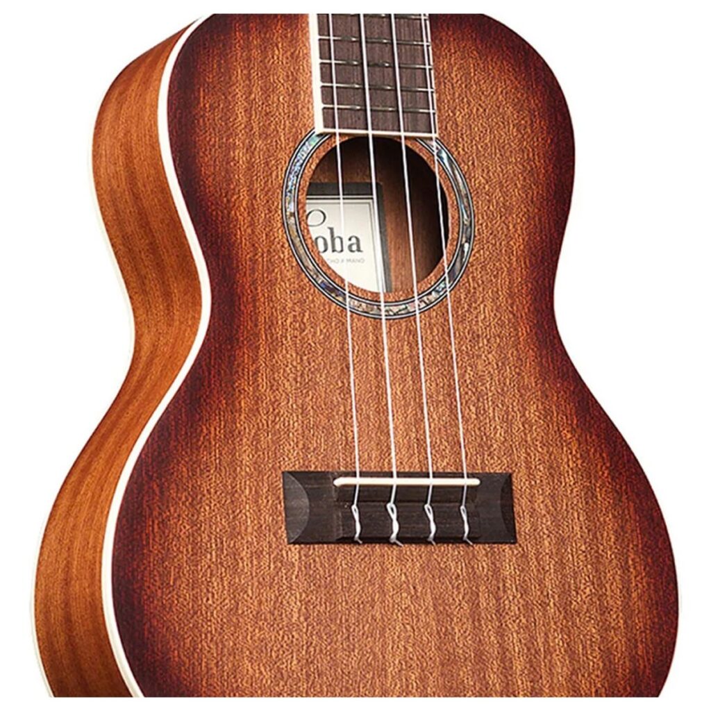 Cordoba 15CM-E Edge Burst Concert Ukulele