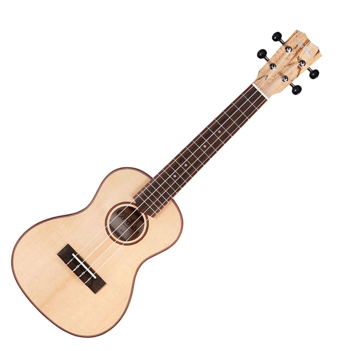 Cordoba 24C Spruce Concert Ukulele - Image 1