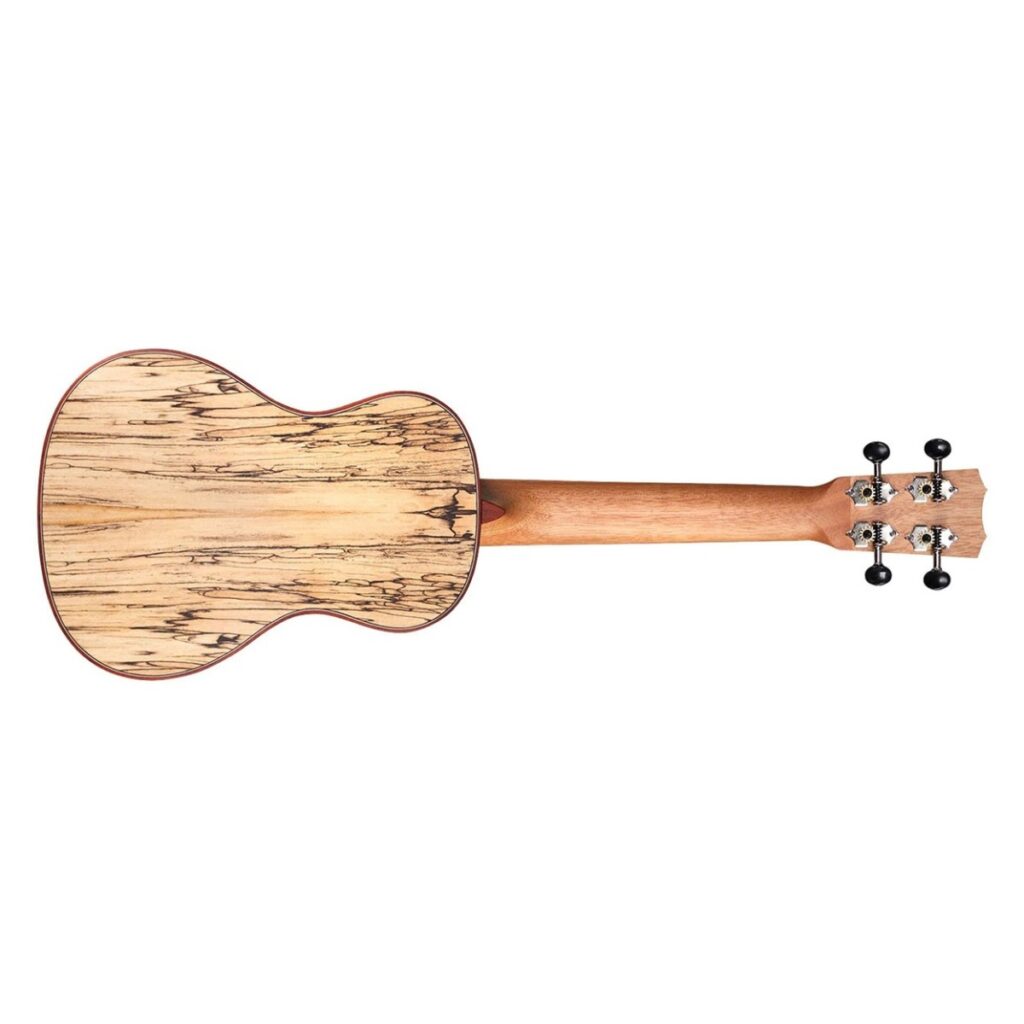 Cordoba 24C Spruce Concert Ukulele