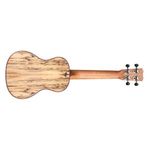 Cordoba 24C Spruce Concert Ukulele - Image 2
