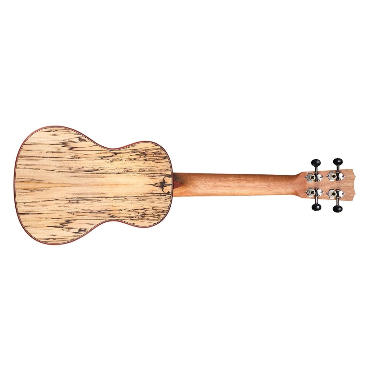 Cordoba 24C Spruce Concert Ukulele - Image 2