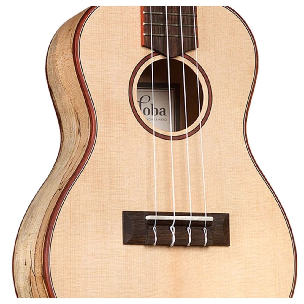 Cordoba 24C Spruce Concert Ukulele