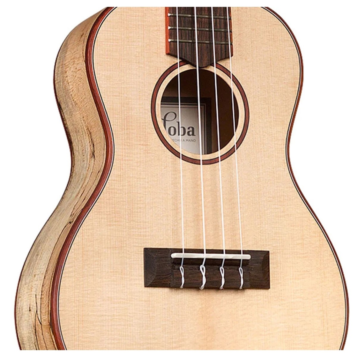Cordoba 24C Spruce Concert Ukulele - Image 3