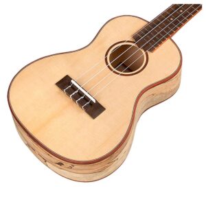 Cordoba 24C Spruce Concert Ukulele - Image 4
