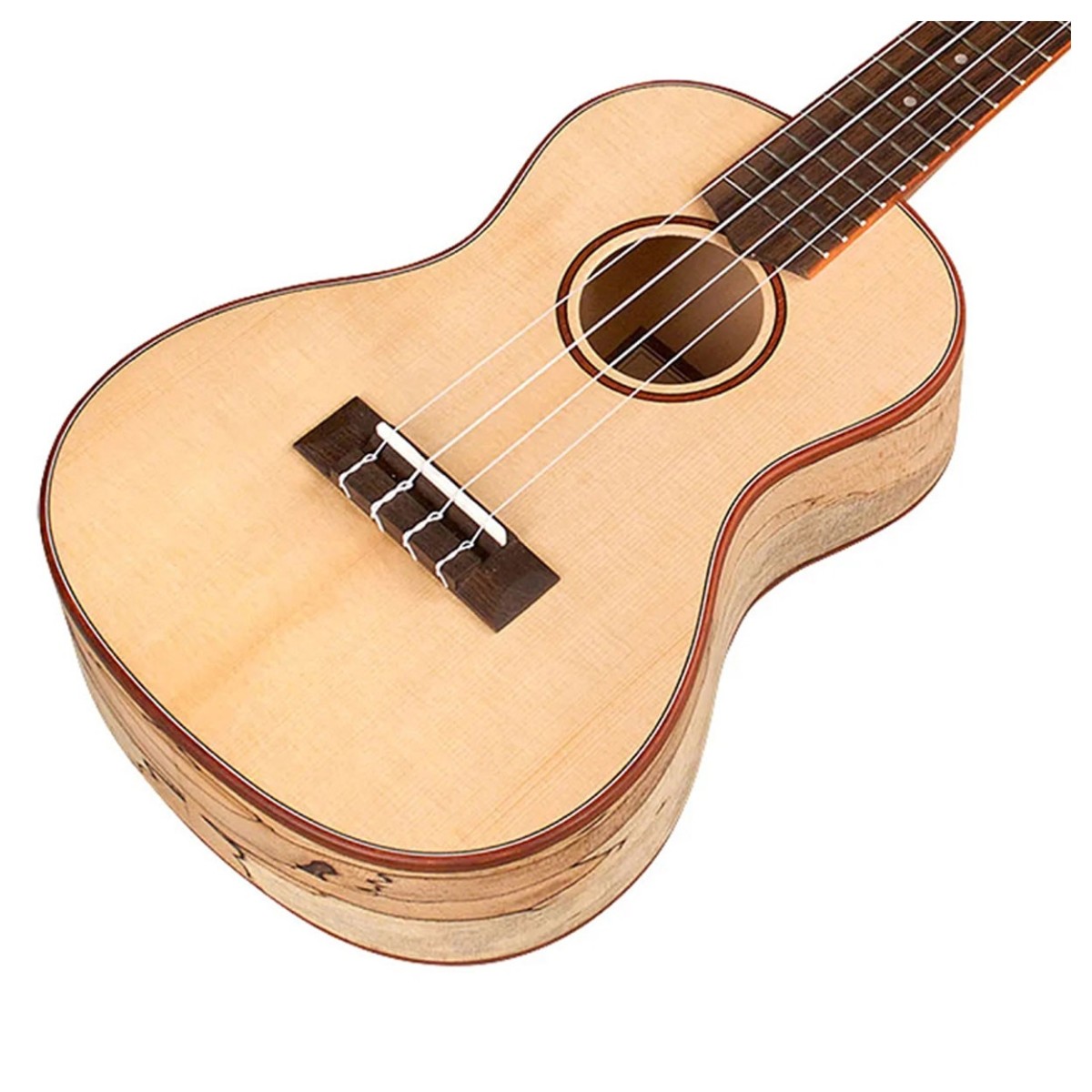 Cordoba 24C Spruce Concert Ukulele - Image 4