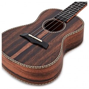 Snail UKC-E498 Concert Ukulele Ebony - Image 2