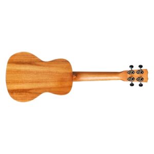 Cordoba 25C Concert Ukulele - Image 2