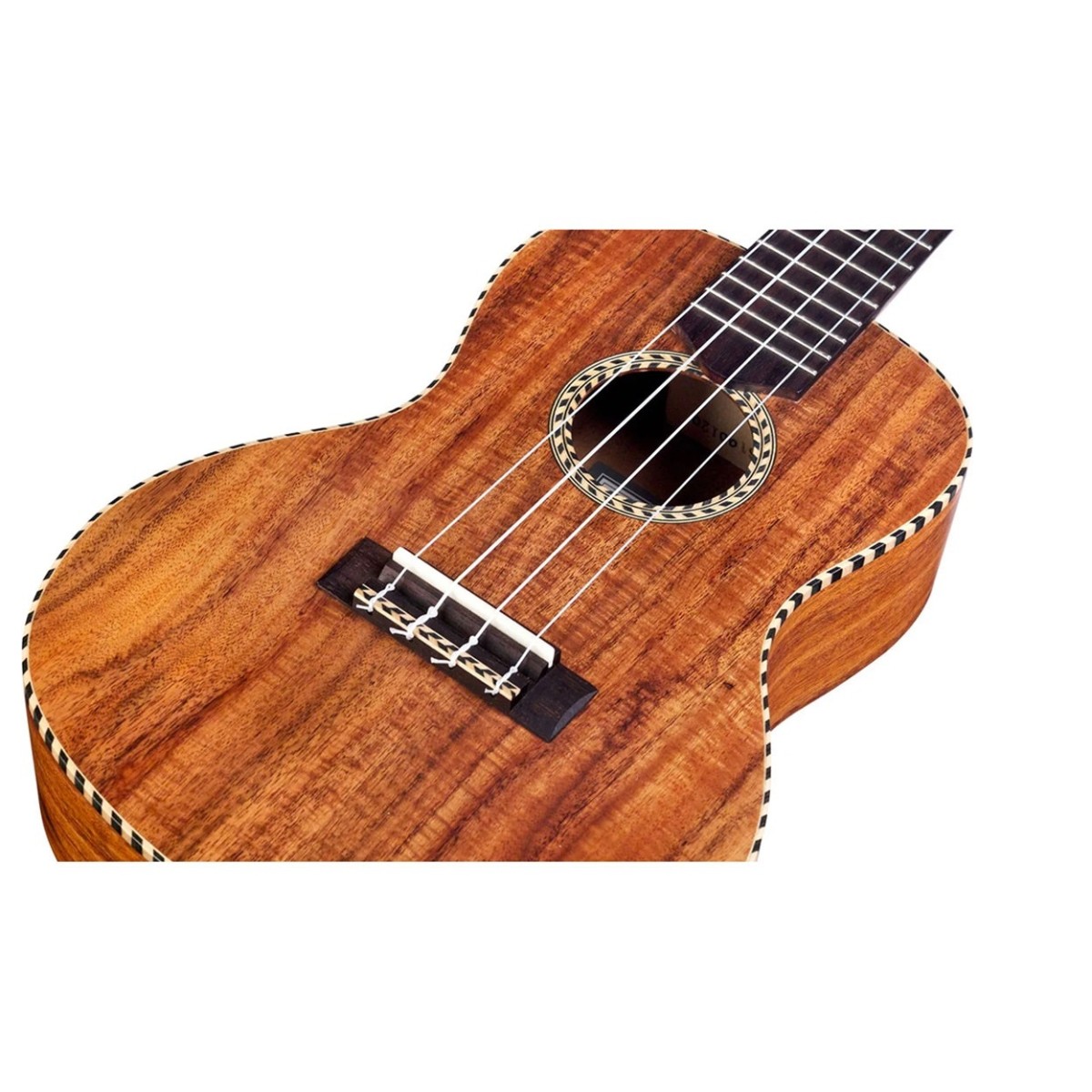 Cordoba 25C Concert Ukulele - Image 3