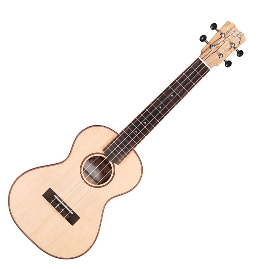 Cordoba 24T Spruce Tenor Ukulele