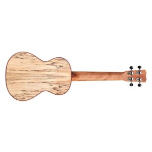 Cordoba 24T Spruce Tenor Ukulele - Image 2