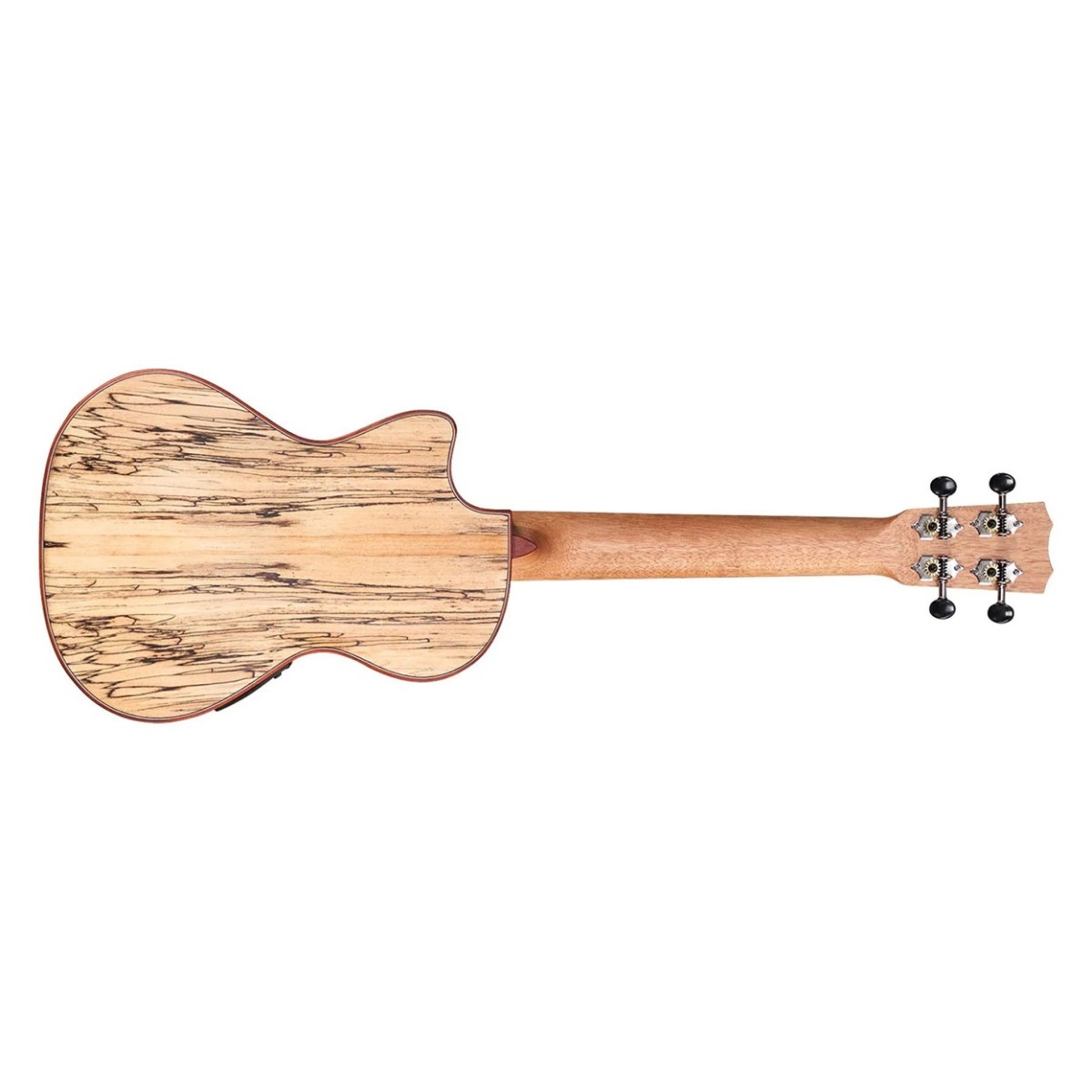 Cordoba 24T-CE Spruce Tenor Ukulele - Image 2